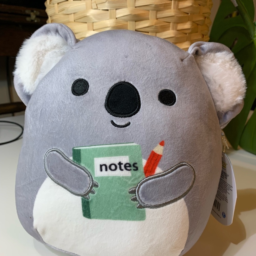 Kirk Koala Squishmallow School